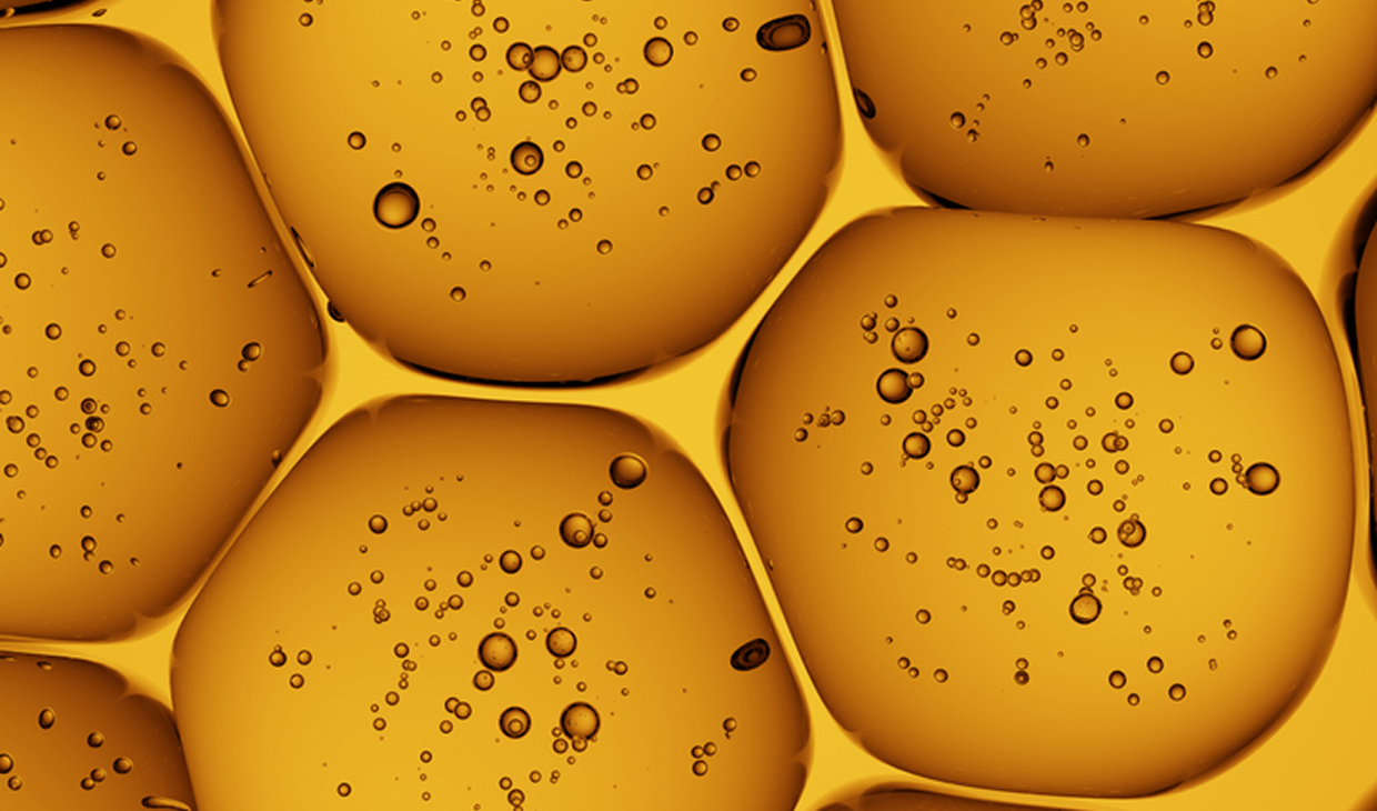 Orange cells with bubbles, macro view